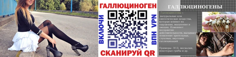 ссылка на мегу сайт Гдов Псилоцибиновые грибы прущие грибы